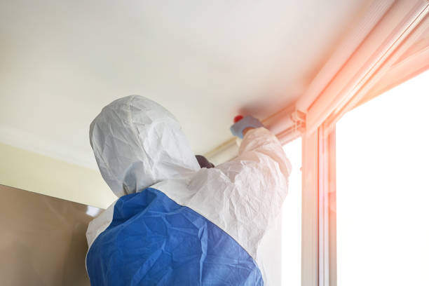 Mold Remediation for Vacation Homes in Dundas, MN